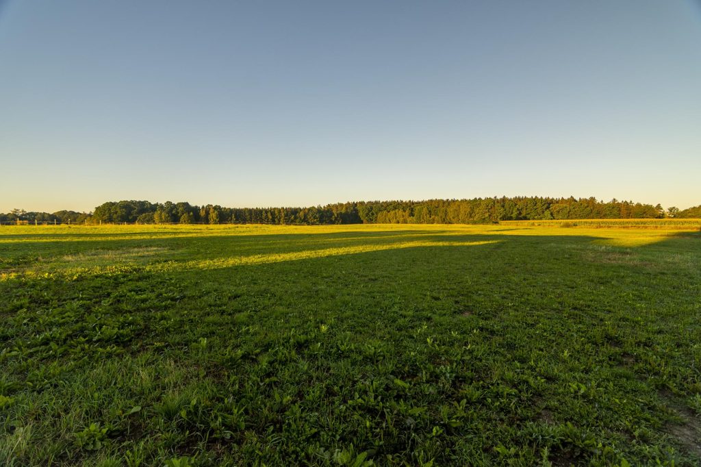 Konskyranc.cz NEVID