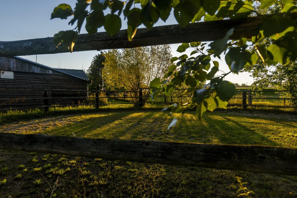 Konskyranc.cz NEVID